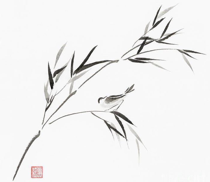 Psycholog Brno Lucia Jurová